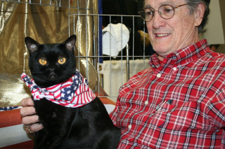 Illustration for article titled Cats Being CAThletes: An Afternoon at the CFA Iams Cat Championship